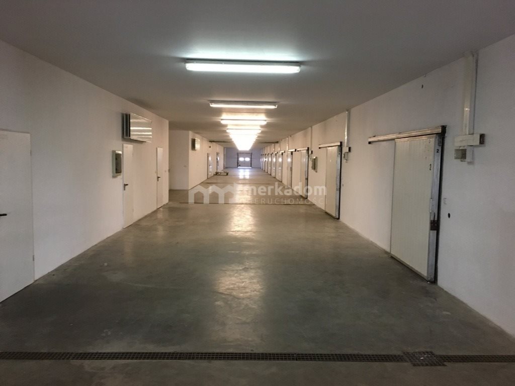 Lokal użytkowy na sprzedaż Tarnowo Podgórne 4 000m2 Foto 1 Lokal użytkowy na sprzedaż Tarnowo Podgórne 4 000m2 Foto 1