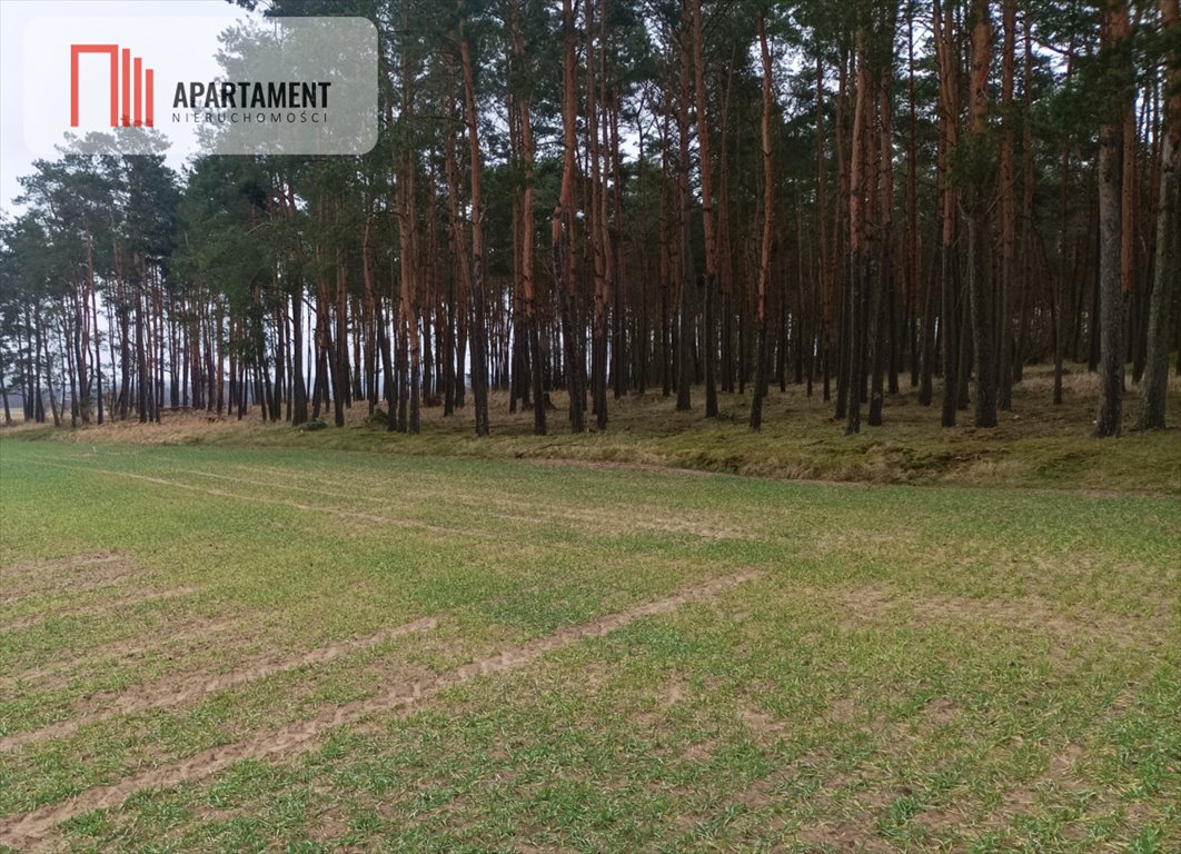 Działka budowlana na sprzedaż Borówno  1 831m2 Foto 2