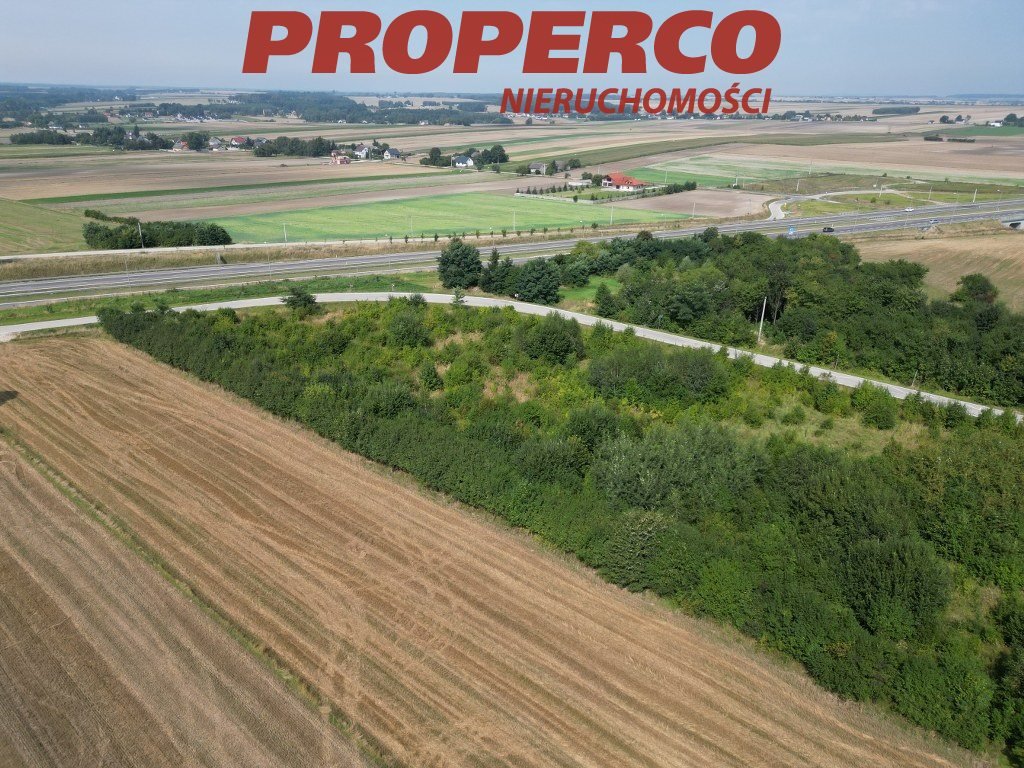 Działka inna na sprzedaż Jędrzejów, Potok Mały  1 219m2 Foto 2