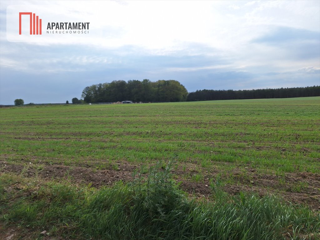 Działka inwestycyjna 30 439 m² w Sucha Górna, blisko lasów Sucha Górna  30 439m2 Foto 1