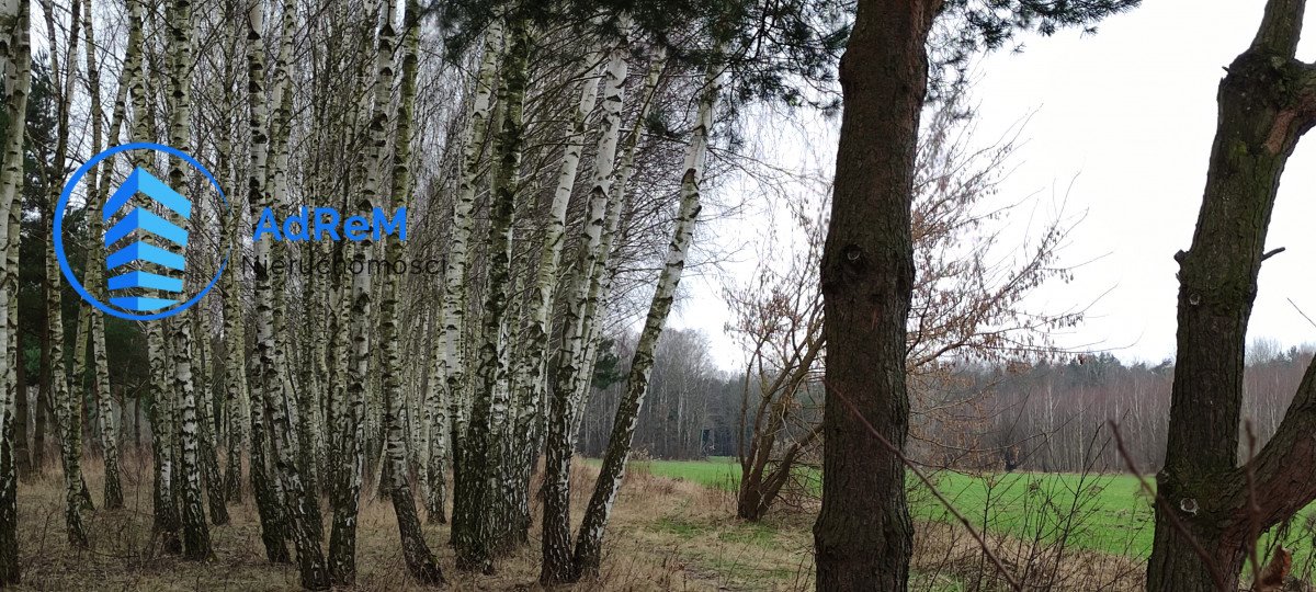 Działka budowlana na sprzedaż Głosków  3 800m2 Foto 3