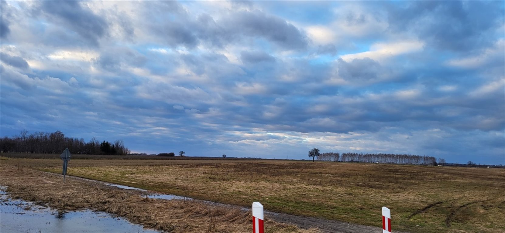 Działka inna na sprzedaż Orchów  8 599m2 Foto 2