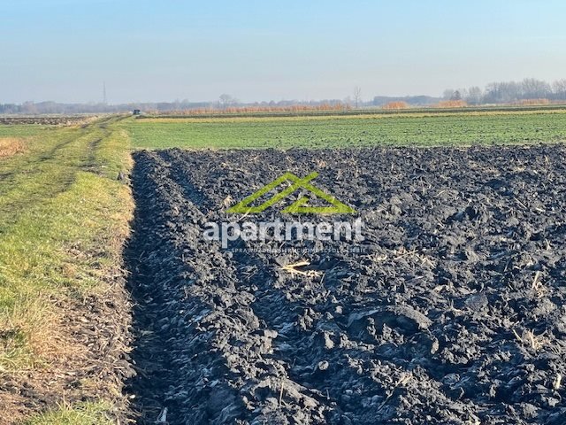 Działka rolna na sprzedaż Sępichów  20 800m2 Foto 1