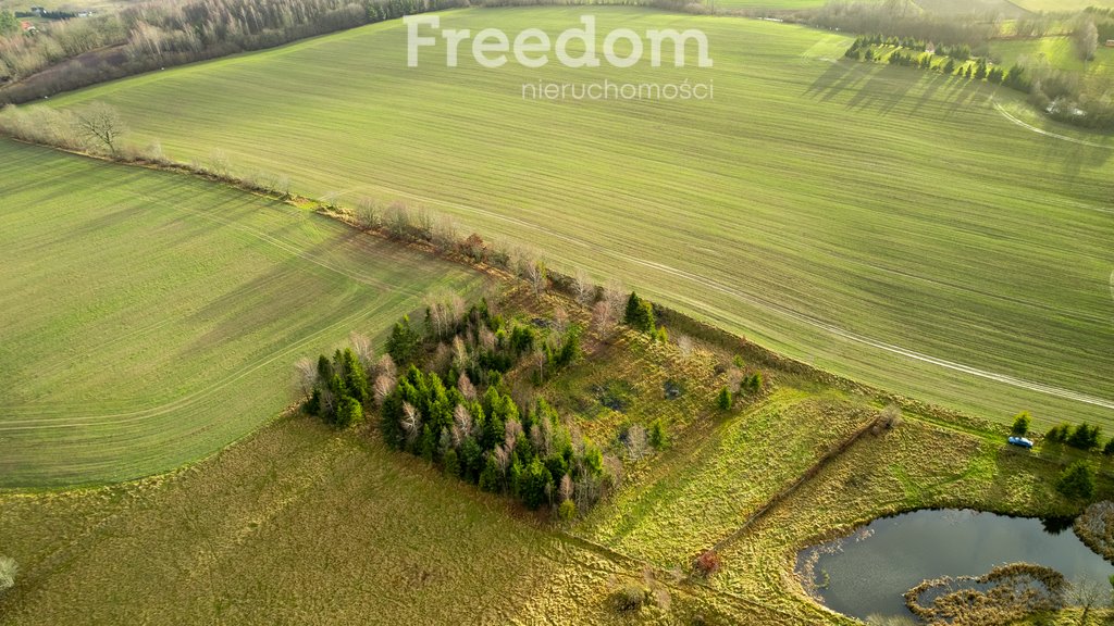 Działka budowlana na sprzedaż Klonowo Górne, Świerkowa  3 987m2 Foto 6