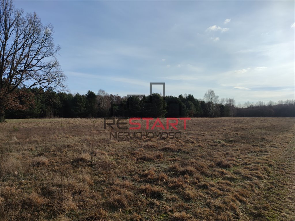 Działka budowlana na sprzedaż Osowiec  1 379m2 Foto 3