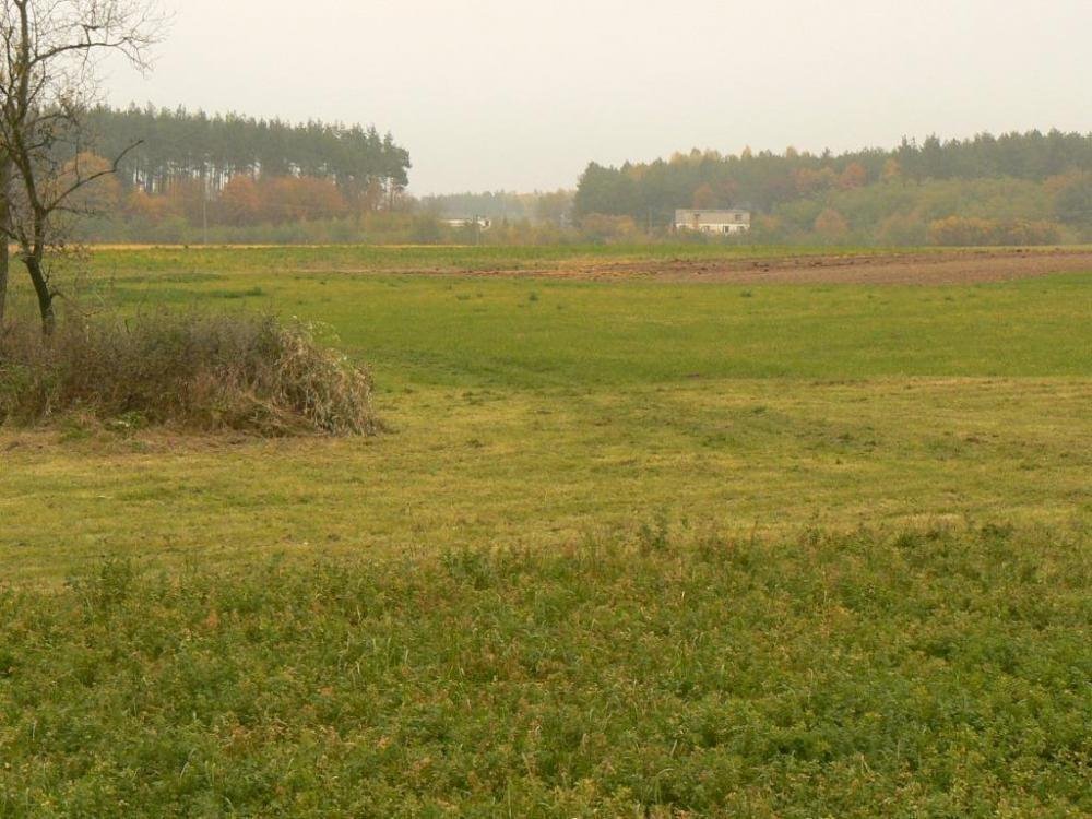 Działka inna na sprzedaż Czemlewo  13 600m2 Foto 1