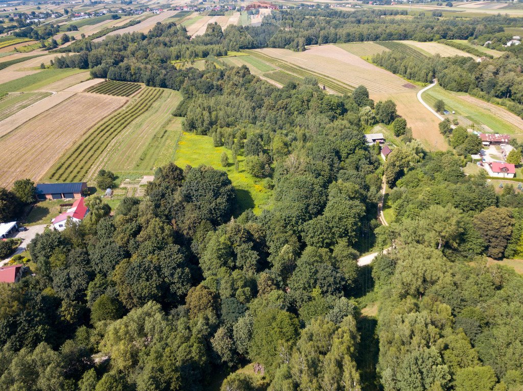 Działka siedliskowa na sprzedaż Stok  22 572m2 Foto 4