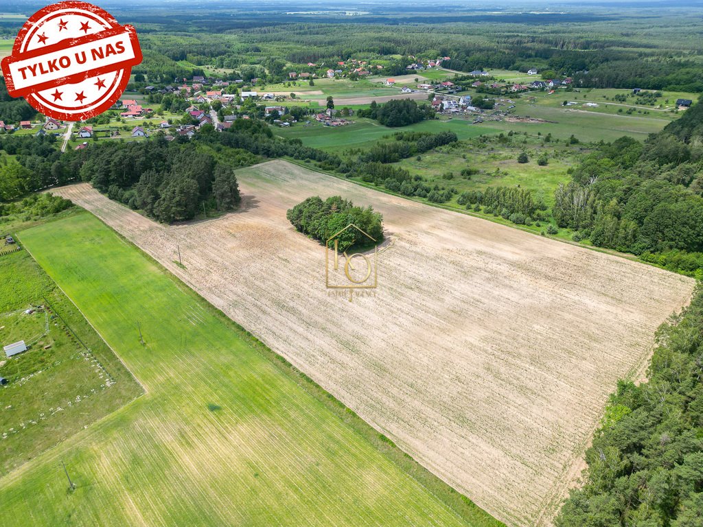 Działka budowlana na sprzedaż Niedary, Kamienna  1 100m2 Foto 7