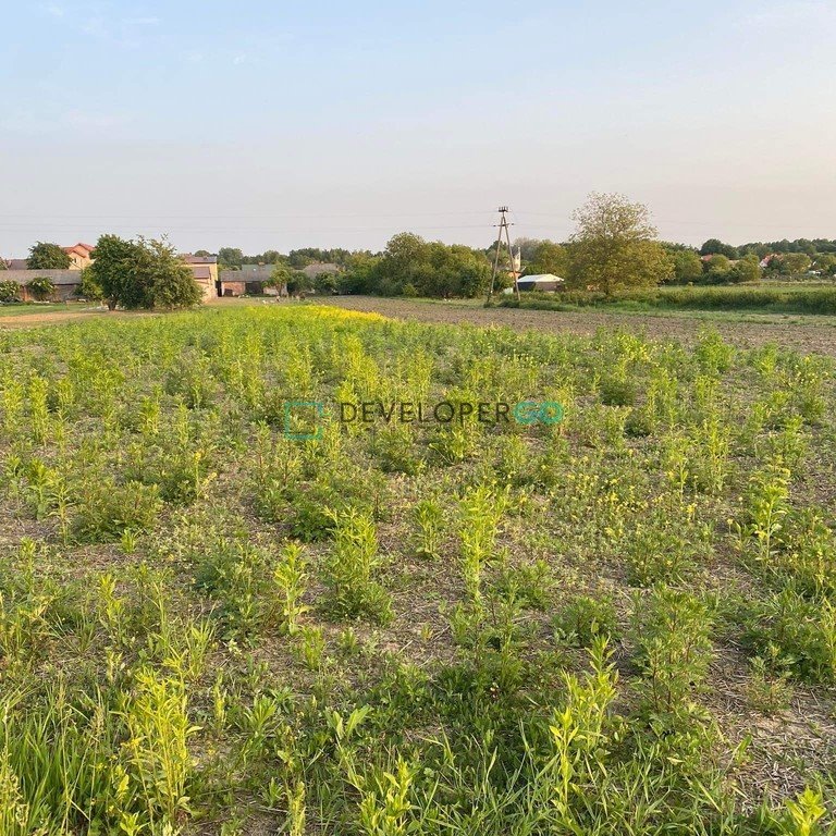 Działka budowlana na sprzedaż Skowieszyn, Puławska  2 000m2 Foto 3