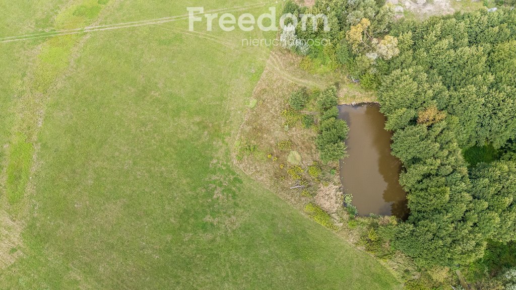 Działka rolna na sprzedaż Ostrówiec  5 600m2 Foto 17