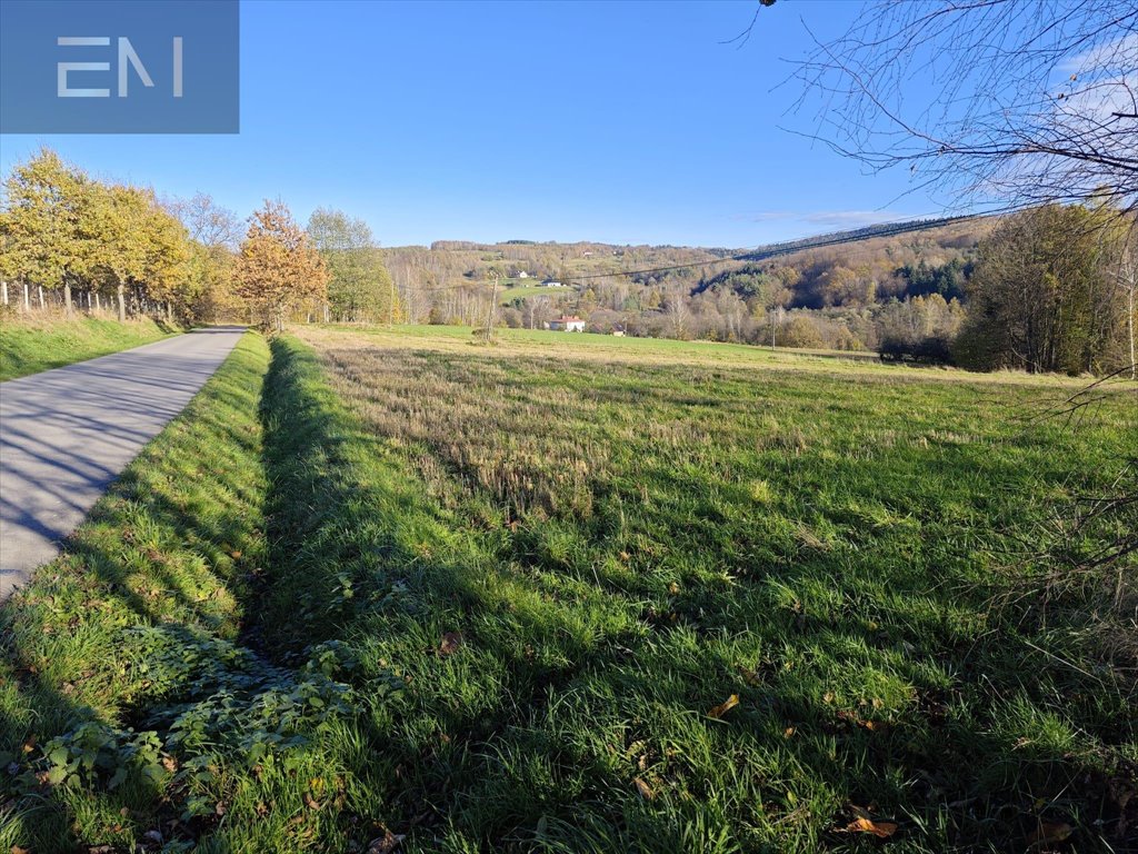 Działka budowlana na sprzedaż Konieczkowa  4 600m2 Foto 11