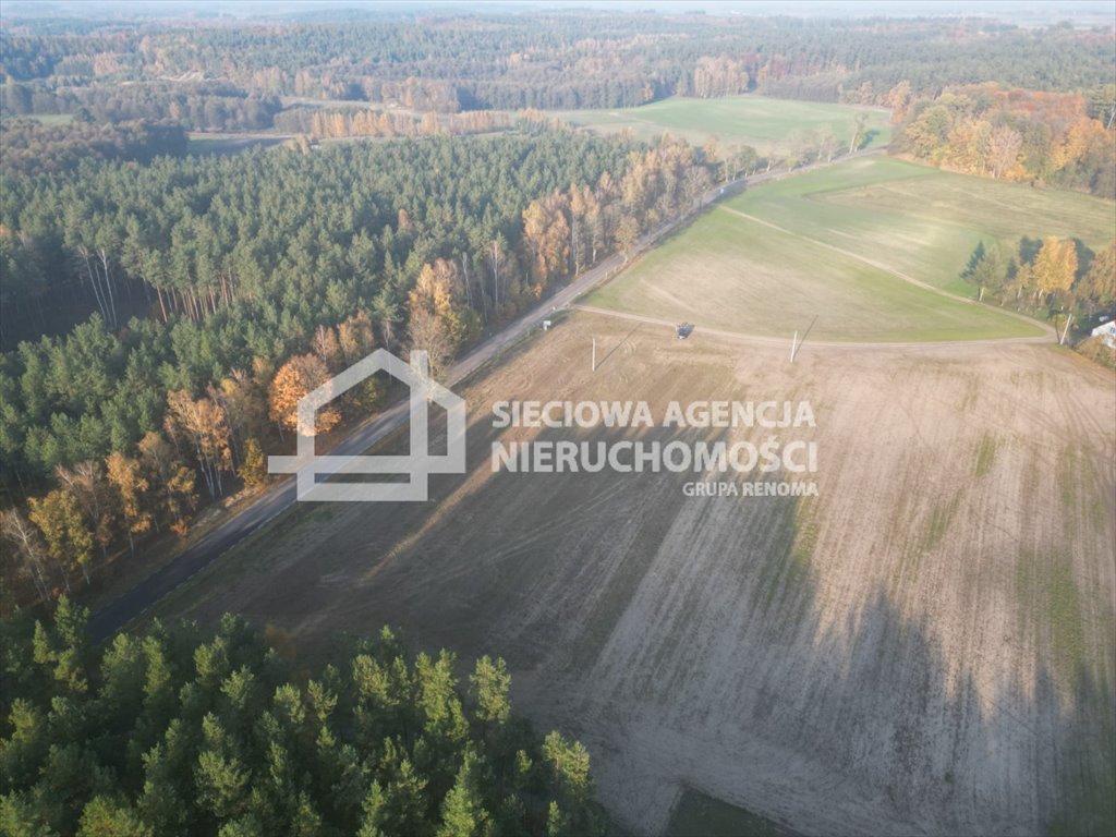 Działka siedliskowa na sprzedaż Grabowo  3 271m2 Foto 9