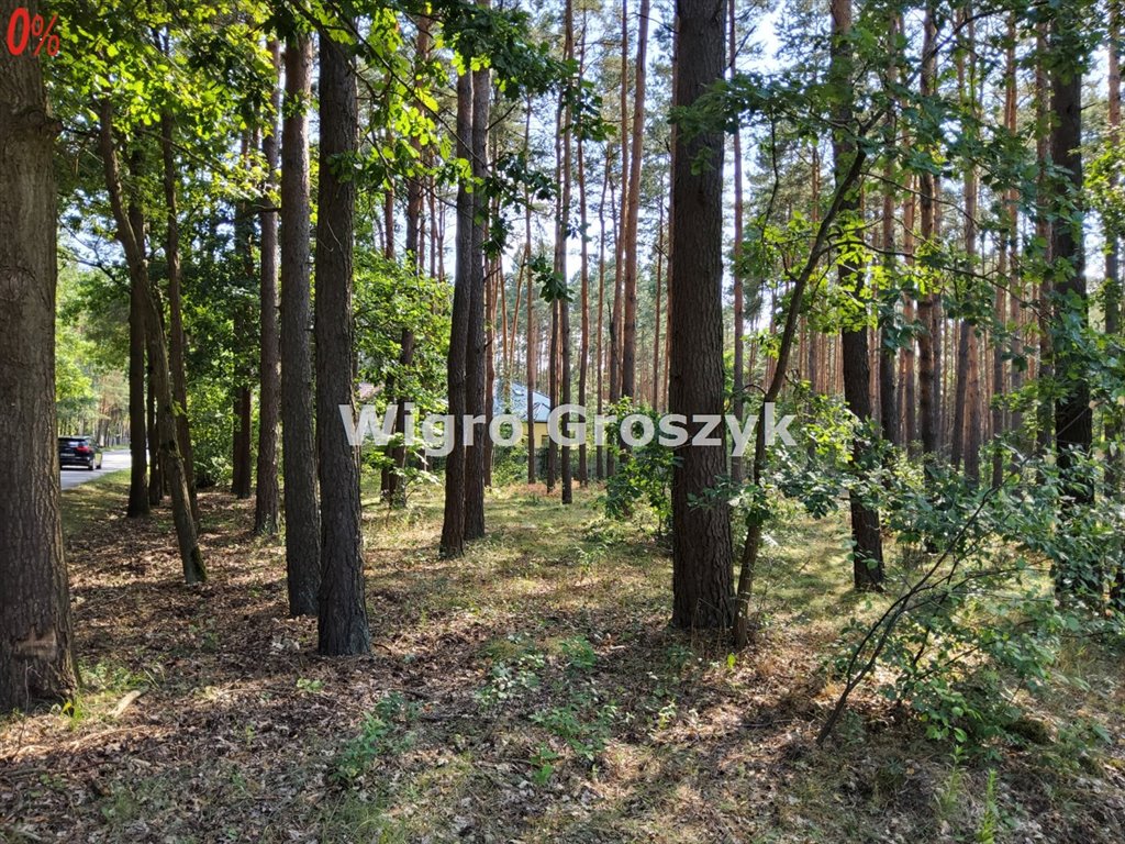 Działka budowlana na sprzedaż Hornówek  1 545m2 Foto 5