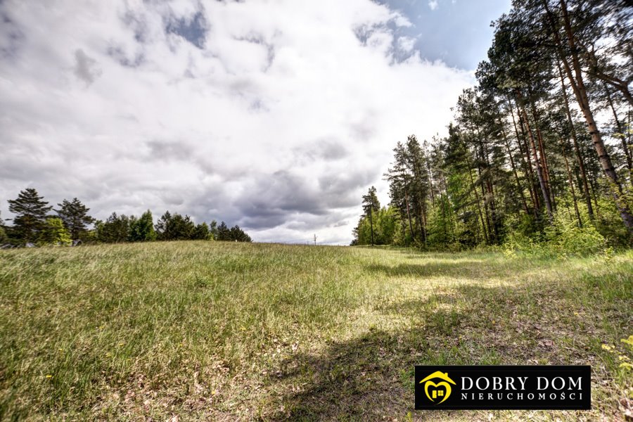 Działka rolna na sprzedaż Gawrych-Ruda  3 777m2 Foto 5