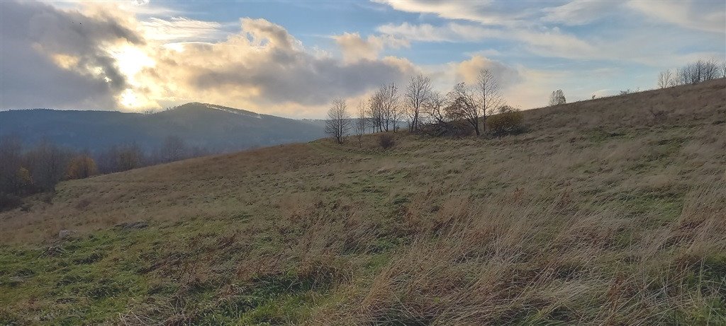 Działka inna na sprzedaż Walim  1 937m2 Foto 7