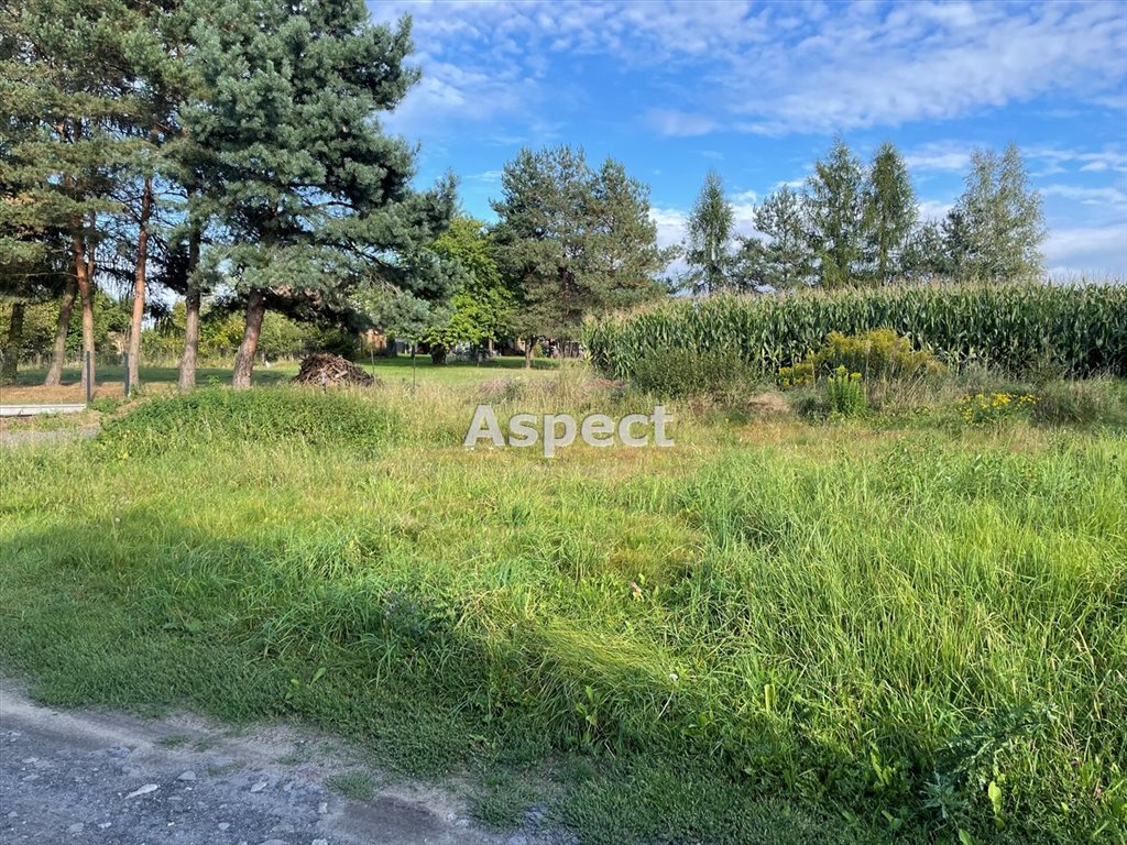 Działka budowlana na sprzedaż Skrzyszów  747m2 Foto 1