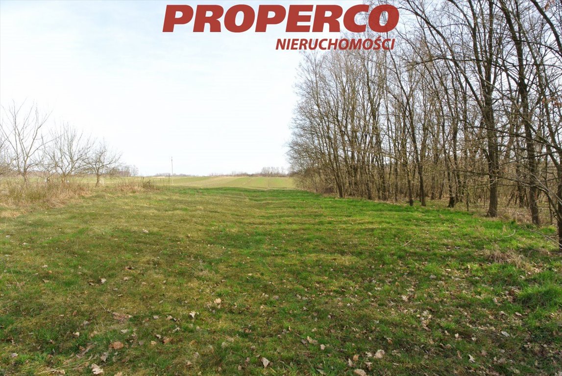 Dom na sprzedaż Busko-Zdrój, Budzyń  70m2 Foto 8