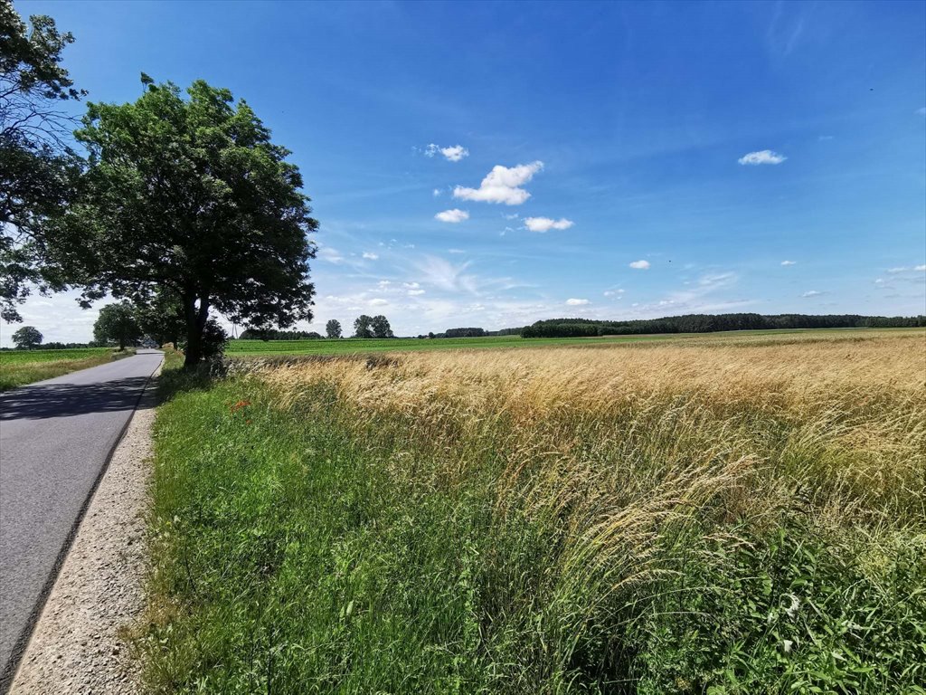 Działka rolna na sprzedaż Kleszczyna  27 800m2 Foto 3