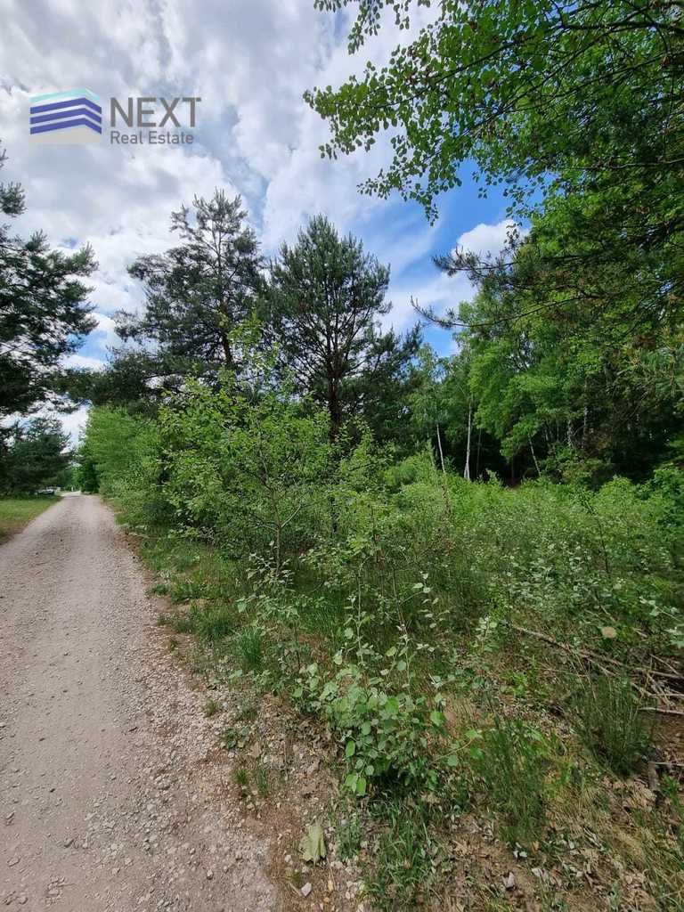 Urokliwa działka 1812 m2 w Powązkach, las, cisza Powązki, Przytulna  1 892m2 Foto 1