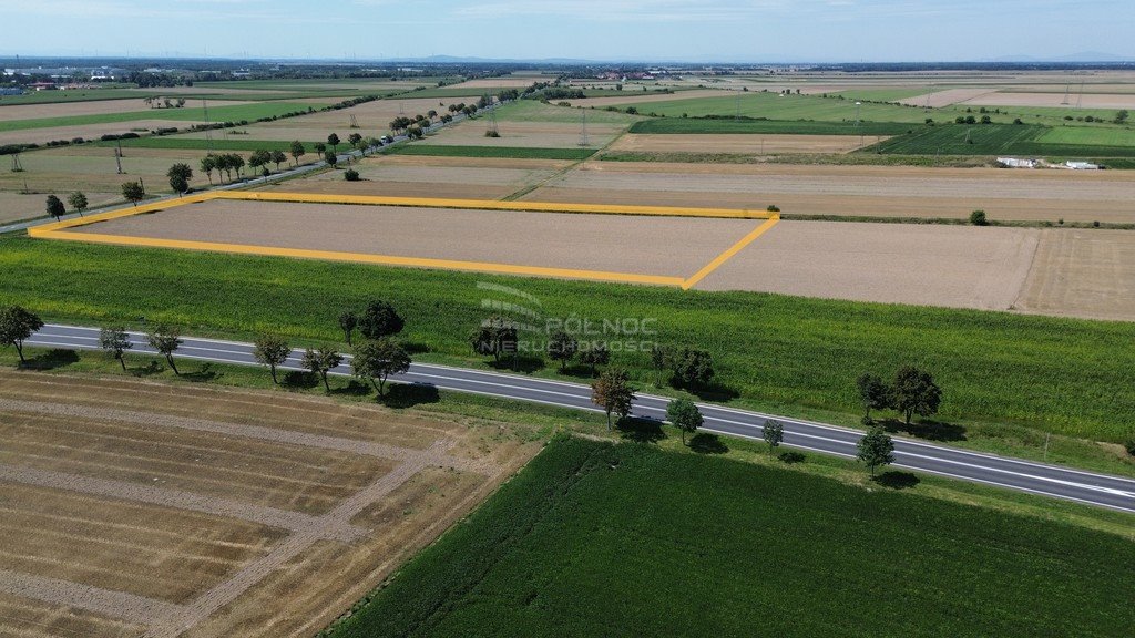 Działka budowlana na sprzedaż Zielęcice  19 300m2 Foto 5