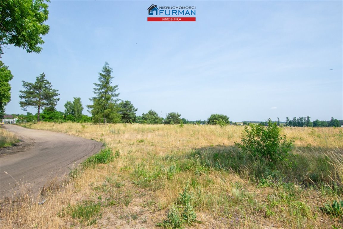Działka inwestycyjna na sprzedaż Stobno  3 000m2 Foto 10