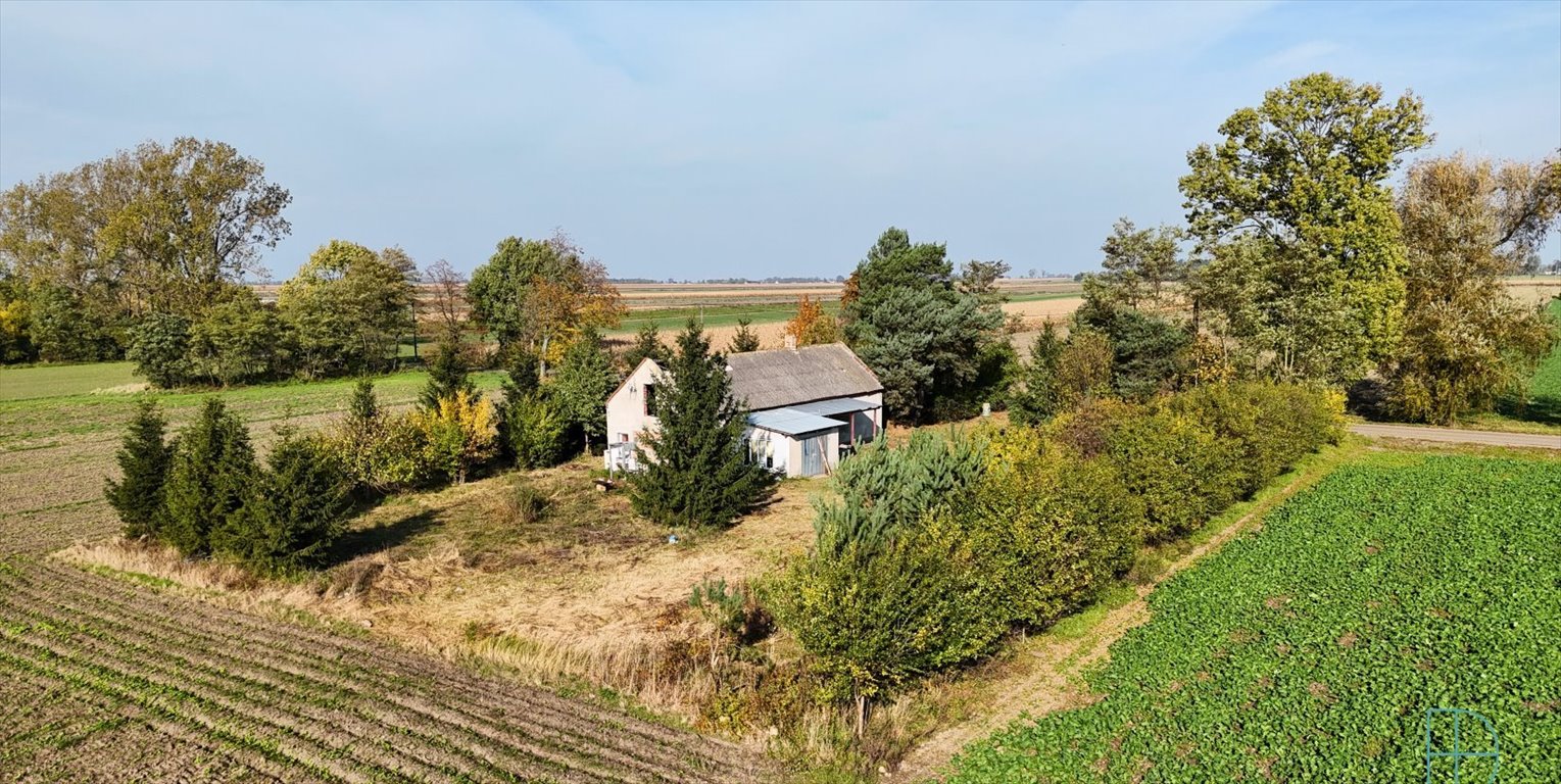 Działka siedliskowa na sprzedaż Gosławice, 26  2 045m2 Foto 1