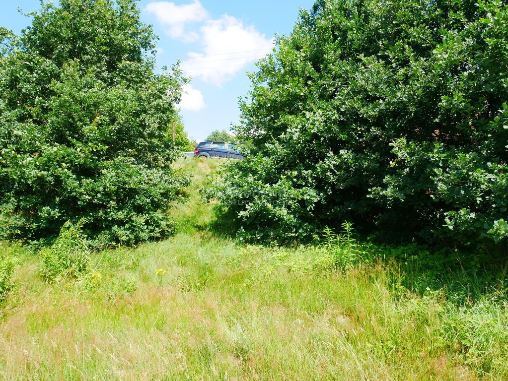 Działka rolna na sprzedaż Zebrzydowa  6 900m2 Foto 5