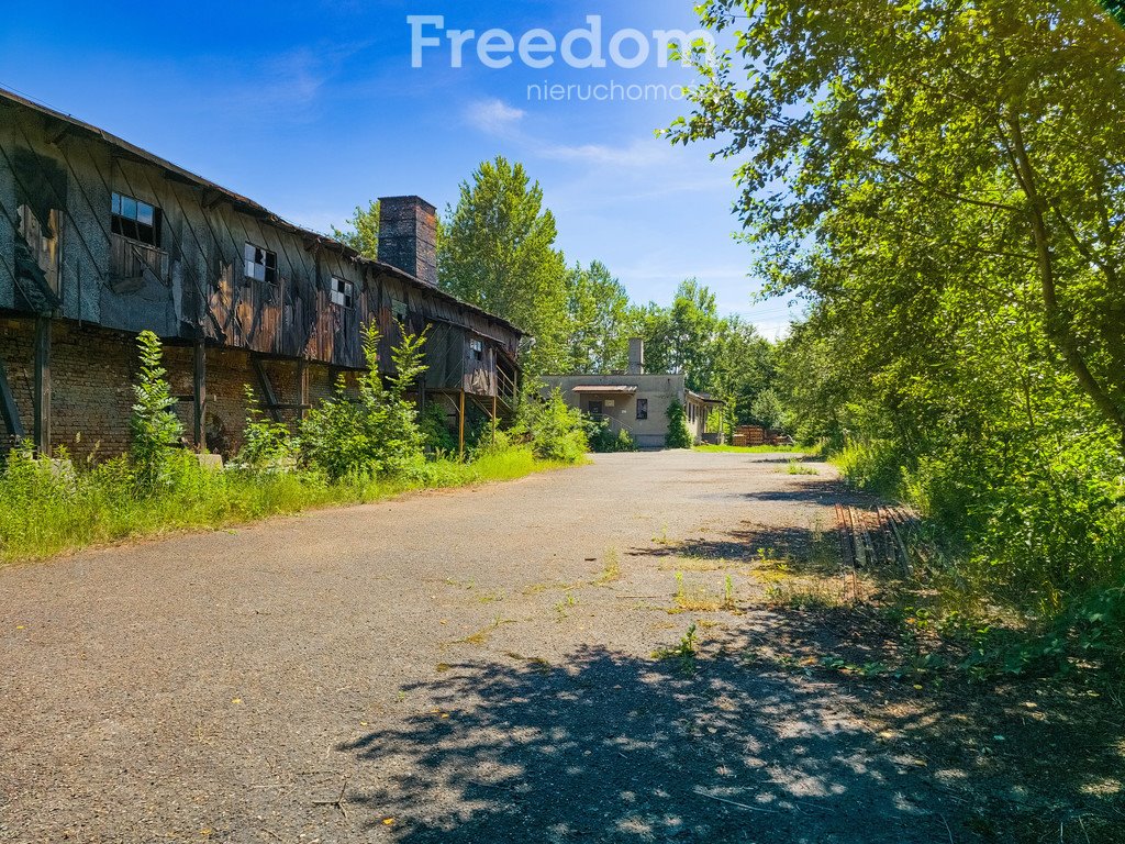 Magazyn na sprzedaż Bieździadka  500m2 Foto 6