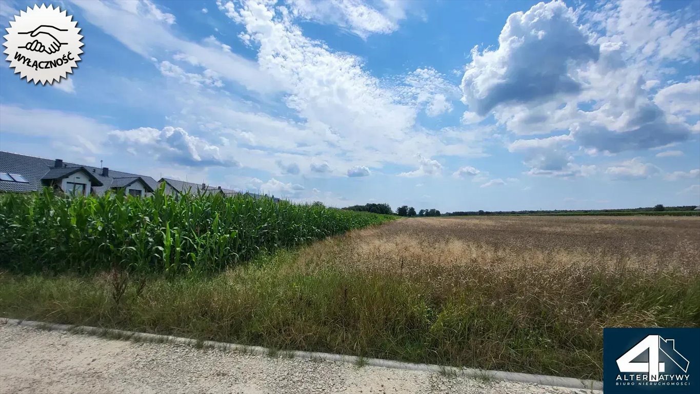 Działka budowlana na sprzedaż Bojszowy, Borowa 30  1 001m2 Foto 4