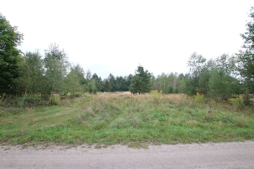 Działka 2000 m² z warunkami zabudowy i pięknym otoczeniem Gołąb  2 000m2 Foto 1