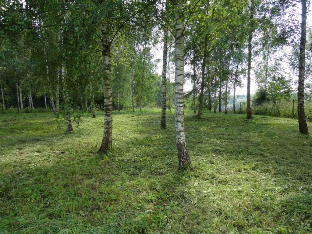 Działka rekreacyjna na sprzedaż Mrągowo, Lembruk  1 000m2 Foto 7