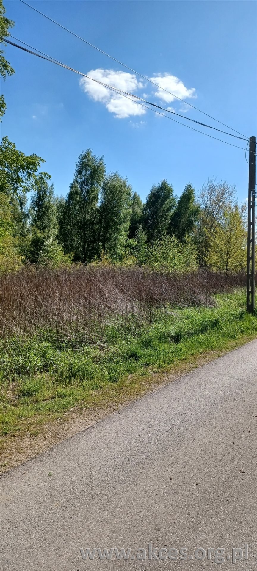 Zapraszam do zakupu działki 2644 m² z mediami w Bąkówce Bąkówka  2 054m2 Foto 1