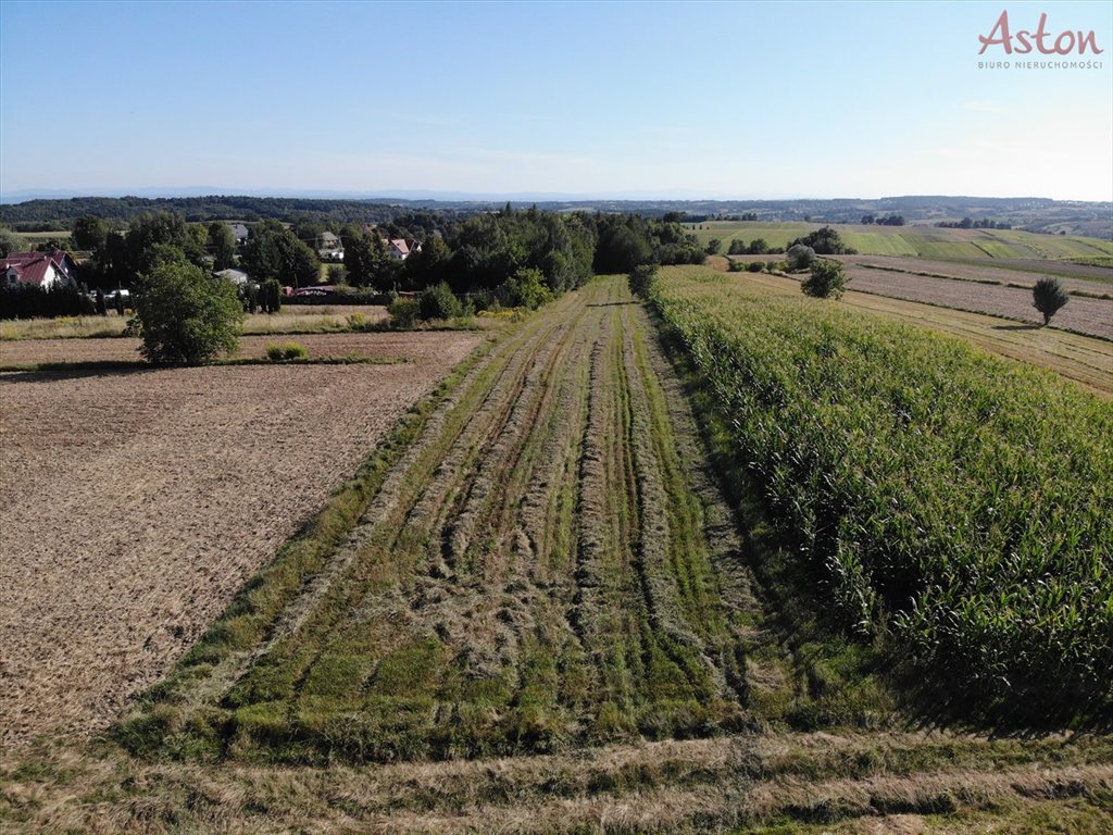 Działka budowlana na sprzedaż Maszków  9 800m2 Foto 1