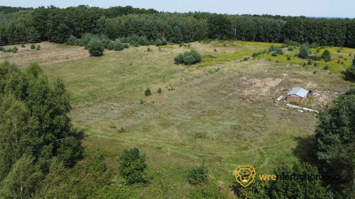 Działka budowlana na sprzedaż Dąbrowa  16 000m2 Foto 1
