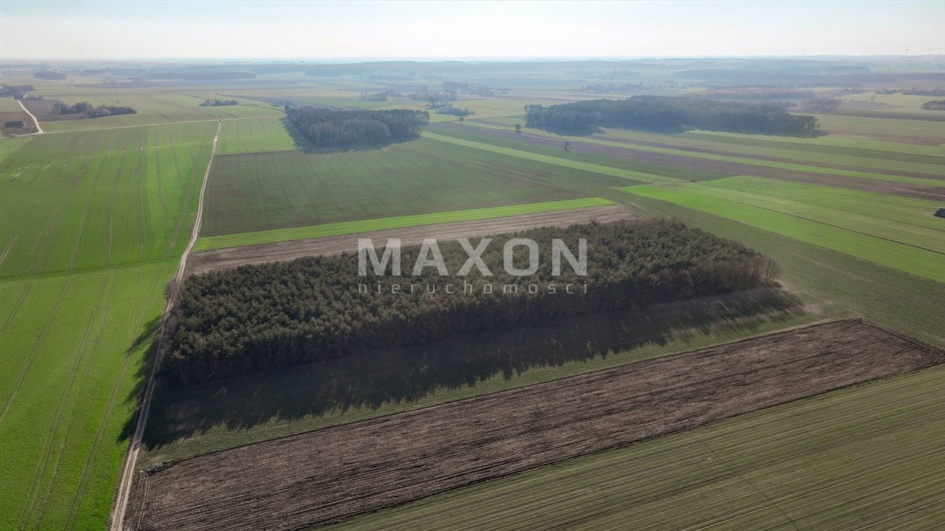 Działka rolna na sprzedaż Bylino  191 100m2 Foto 18