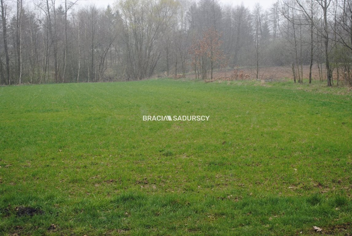 Działka budowlana na sprzedaż Gdów  4 900m2 Foto 3