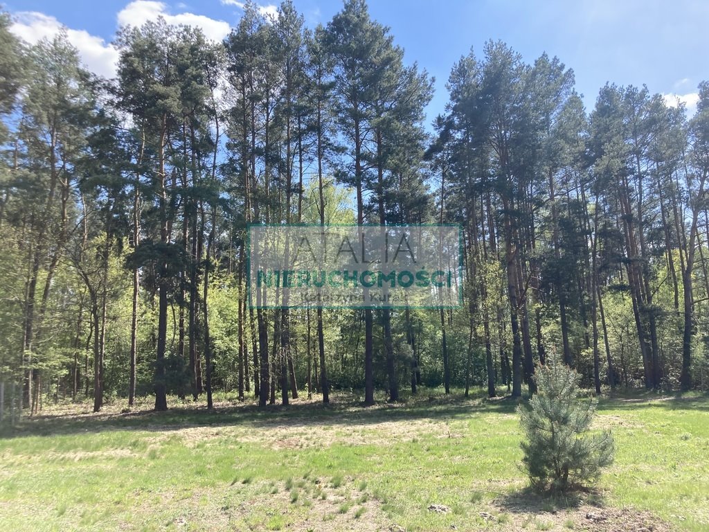 Działka 2000 m² w Strzeniówce - las, spokojna okolica Strzeniówka  2 000m2 Foto 1