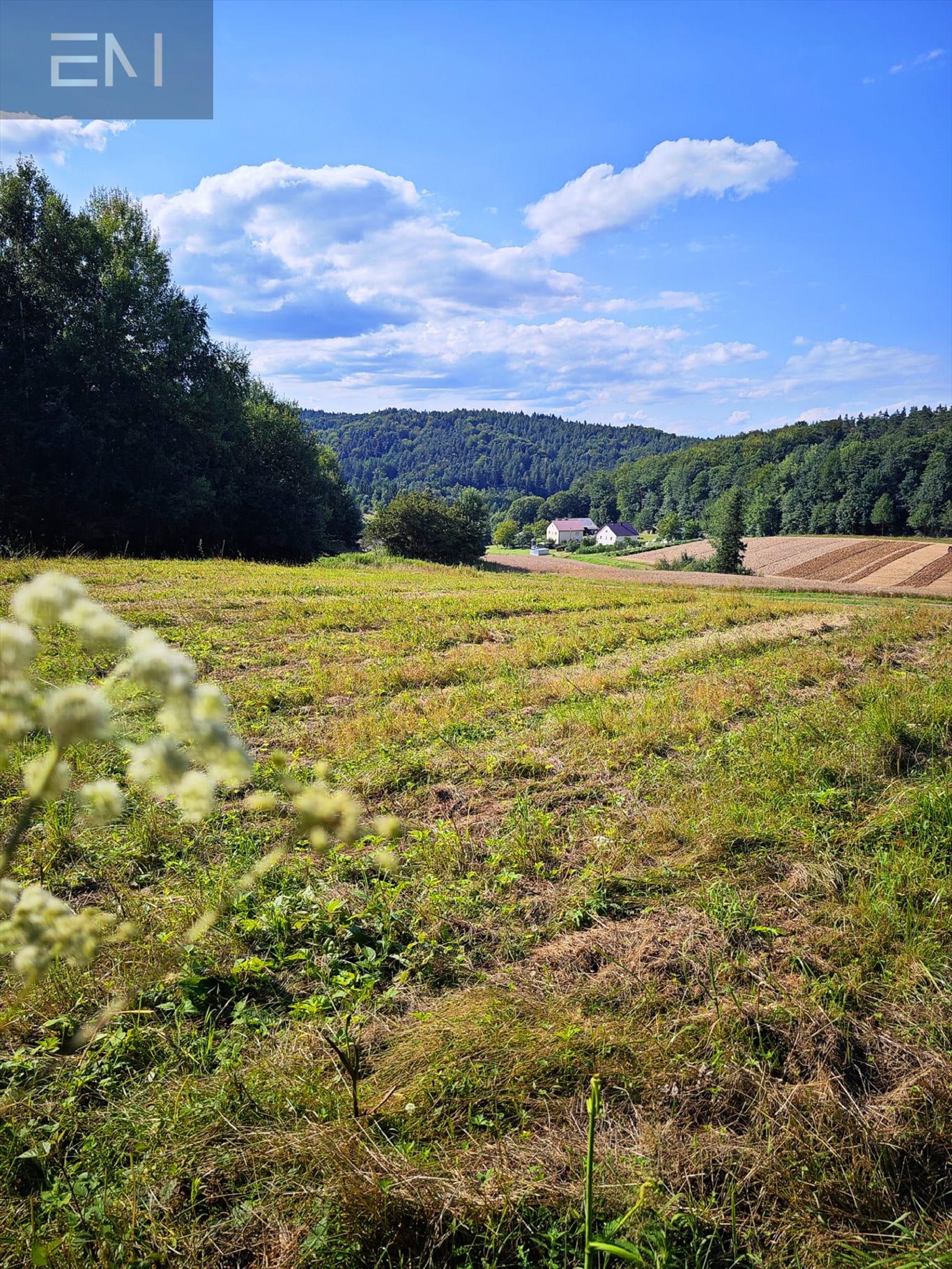 Działka budowlana na sprzedaż Krasna  5 300m2 Foto 9