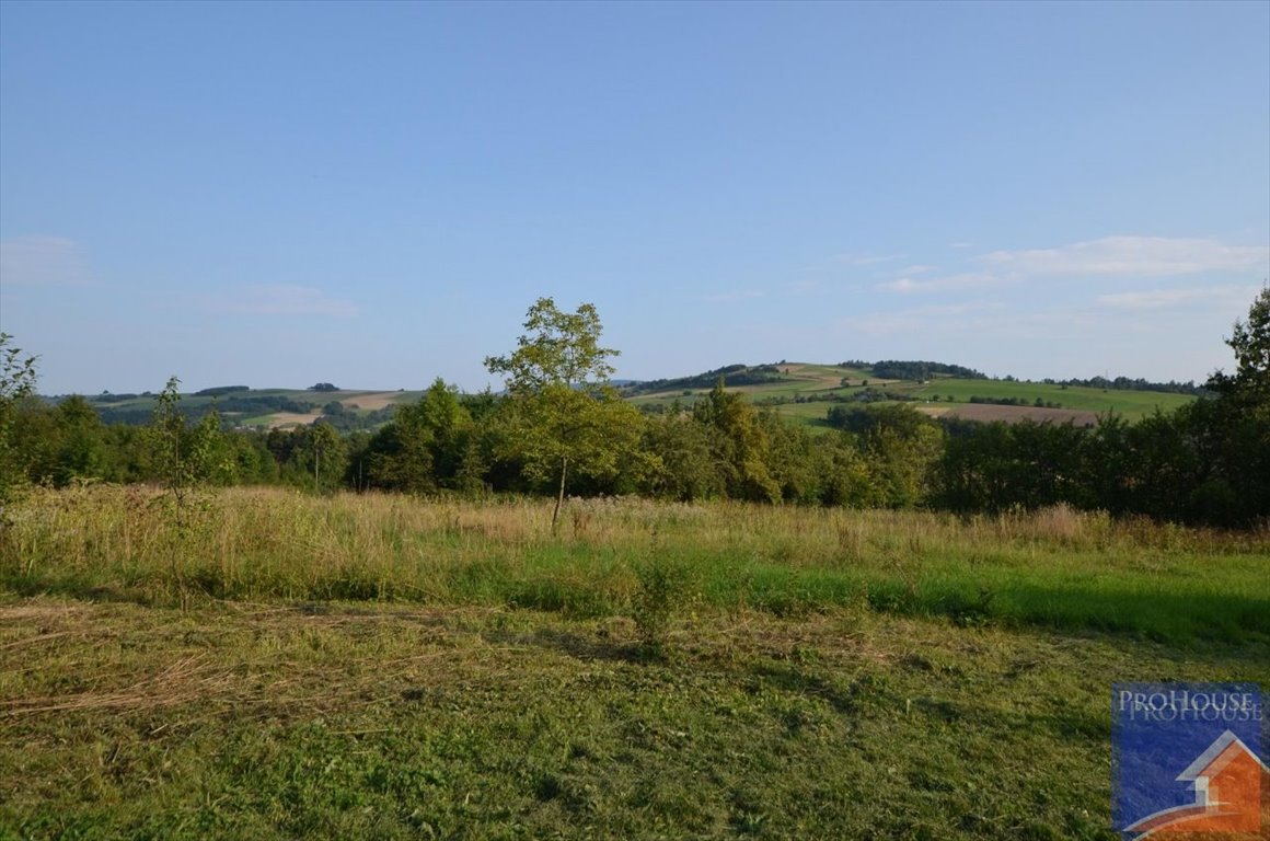 Działka budowlana na sprzedaż Janowice  5 000m2 Foto 1