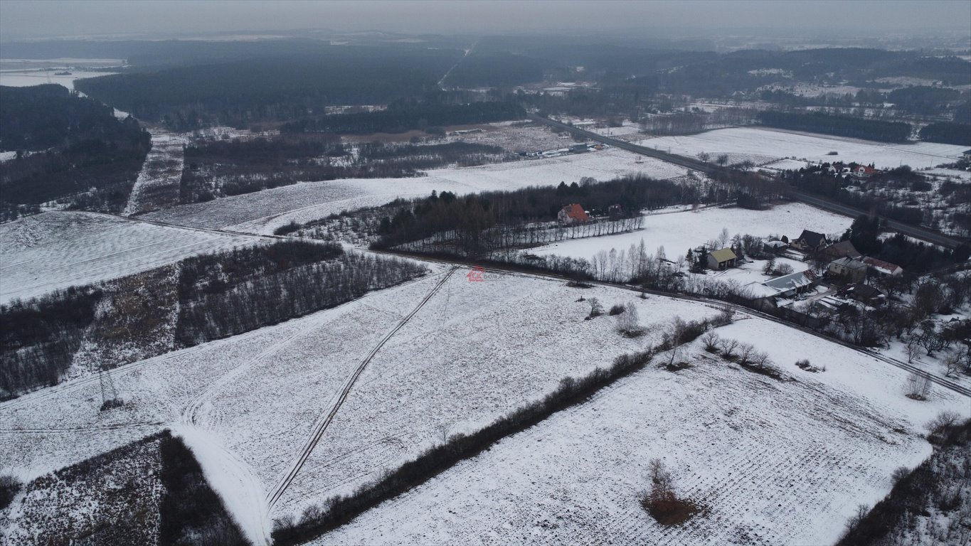 Działka budowlana na sprzedaż Lisów, Leśna  5 336m2 Foto 7