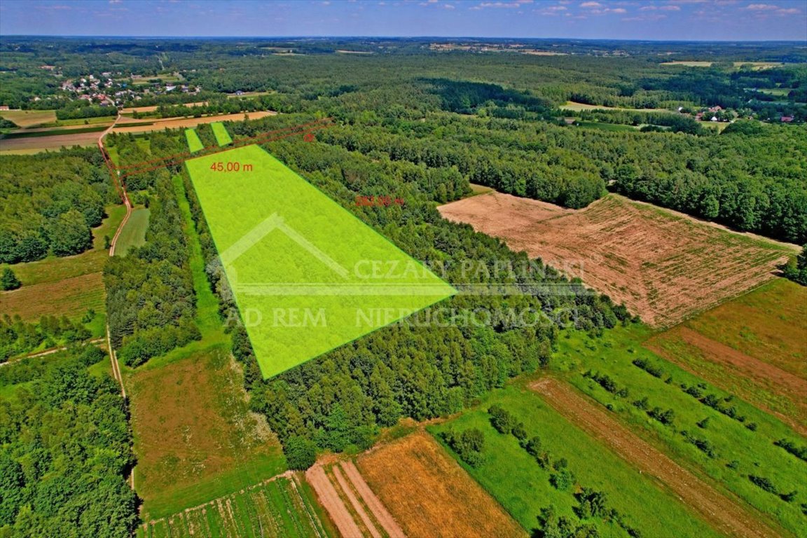 Działka rolna na sprzedaż Uściąż, Uściąż  35 000m2 Foto 2