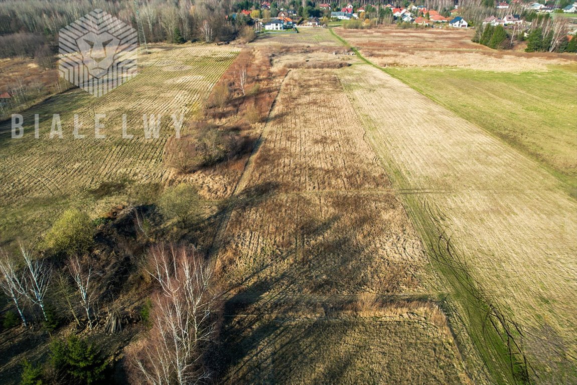 Działka budowlana na sprzedaż Wilcza Góra, Gwiaździsta  1 160m2 Foto 3