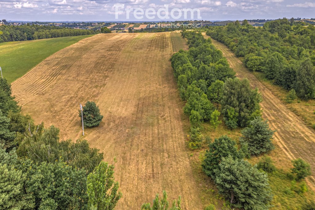 Działka rolna na sprzedaż Siemonia, Kościuszki  17 300m2 Foto 18