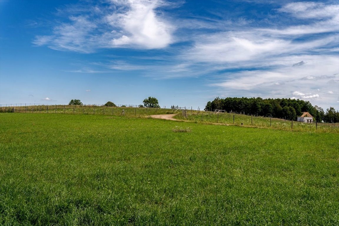 Działka budowlana na sprzedaż Bogacko, Bogacko  3 870m2 Foto 10