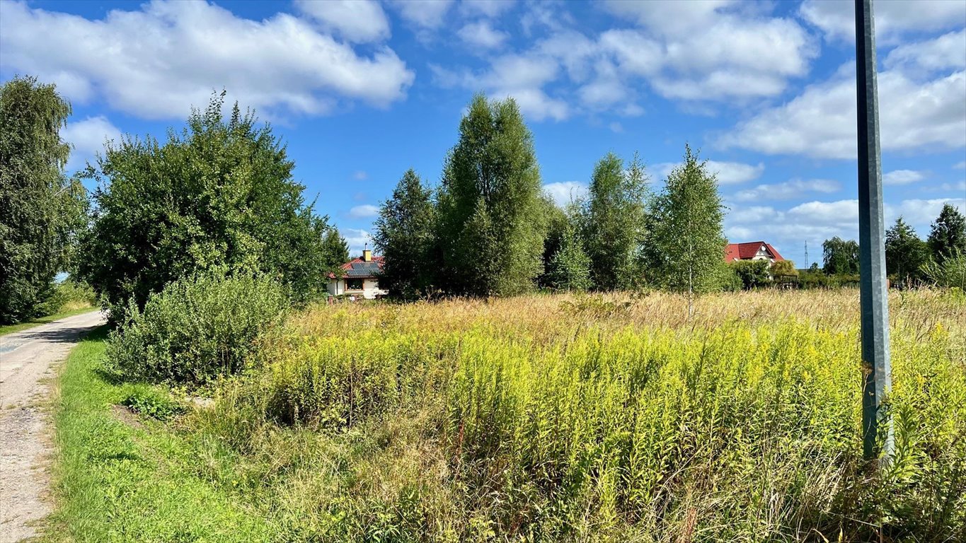 Działka budowlana na sprzedaż Budzistowo, Stare Miasto  1 591m2 Foto 15