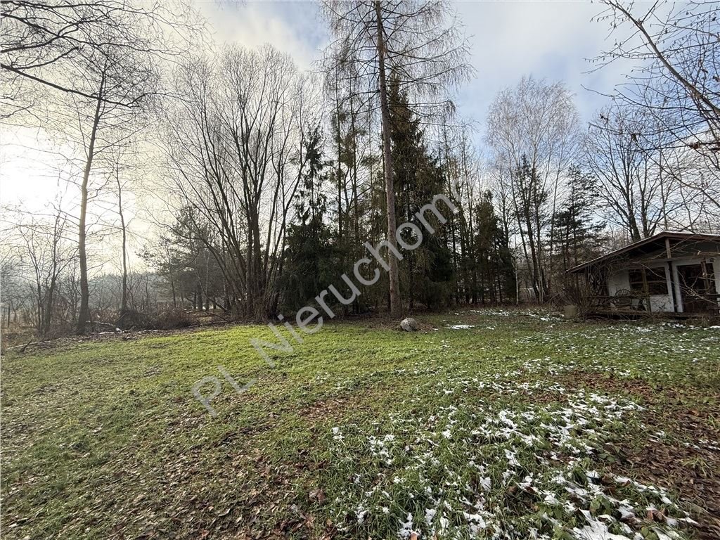 Działka 6000 m² z domkiem media - cisza i prywatność Adamów-Wieś  6 000m2 Foto 1