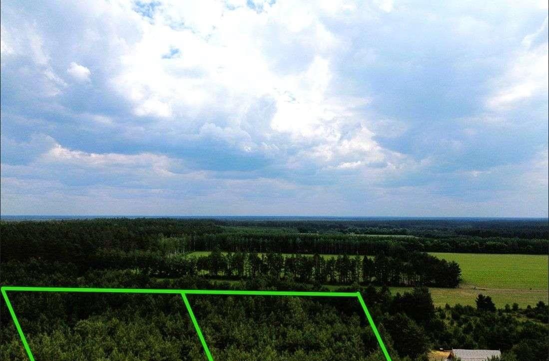 Działka rolna na sprzedaż Faryny  11 000m2 Foto 4