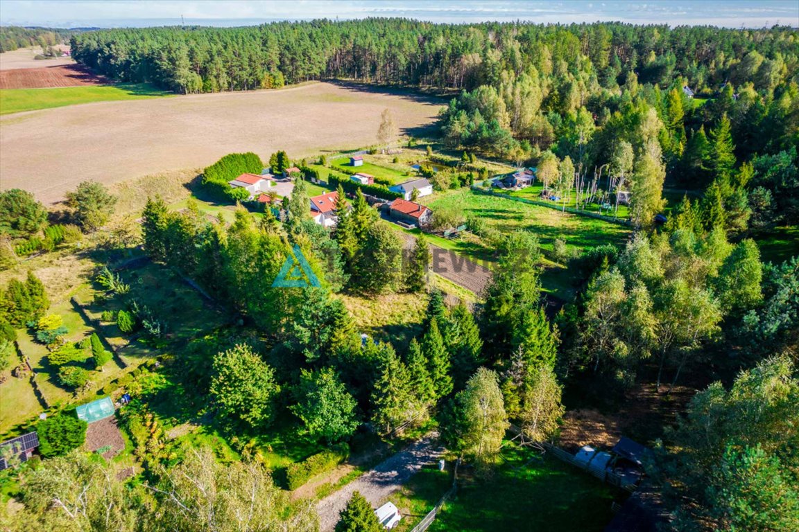 Działka rekreacyjna na sprzedaż Skorzewo, Zielona  1 250m2 Foto 3