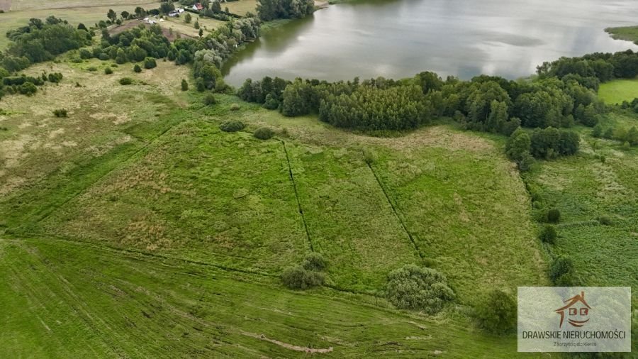 Działka rolna na sprzedaż Nętno, Nętno  12 400m2 Foto 8