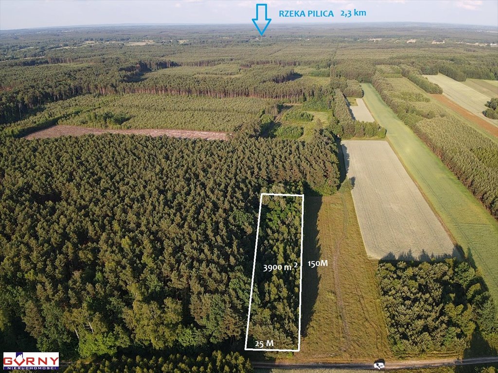 Działka rolna na sprzedaż Bąkowa Góra  4 000m2 Foto 4